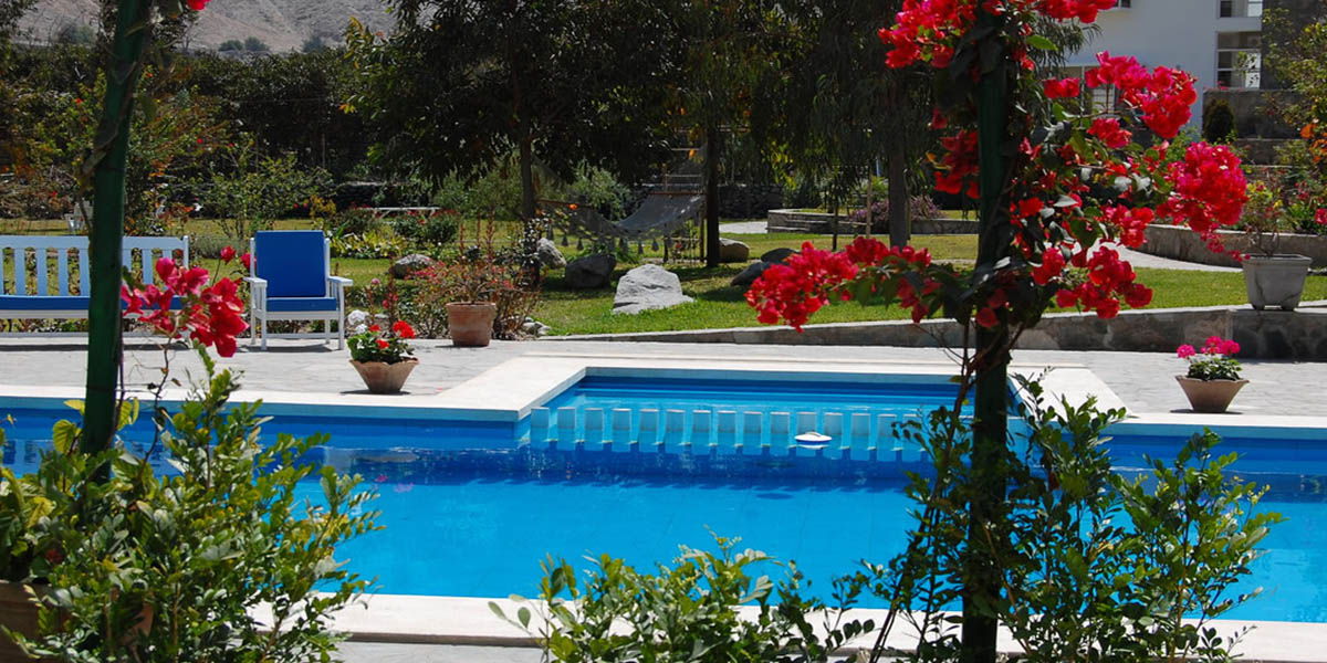 Piscina y Jardines